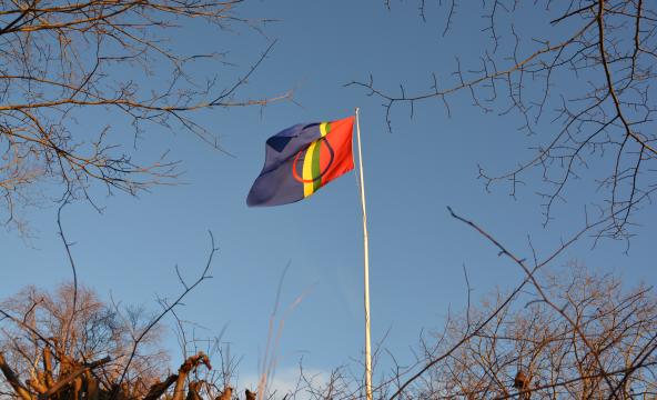 Samisk flagg . Foto