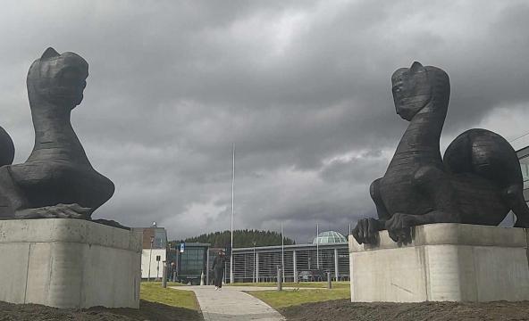 Universitetsportalen