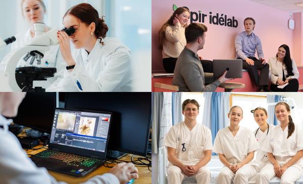 Nord universitet - en innovasjonsarena på tvers av regioner