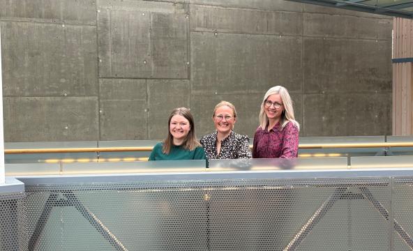 Pris for beste publisering 24