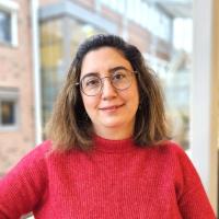 Ansattbilde: Ozlem Simsekoglu