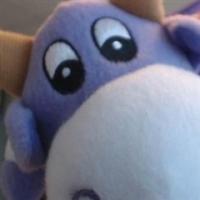 Employee photo: Rune Bostad