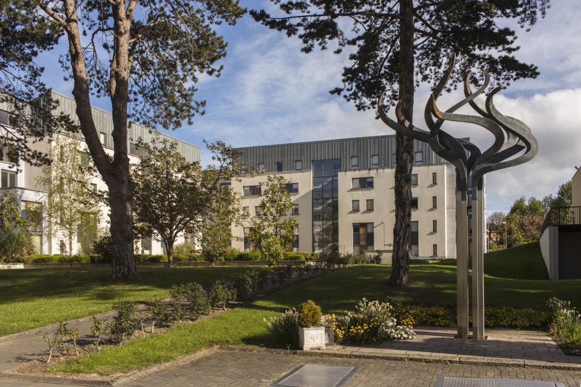 Marino Institute of Education - MIE