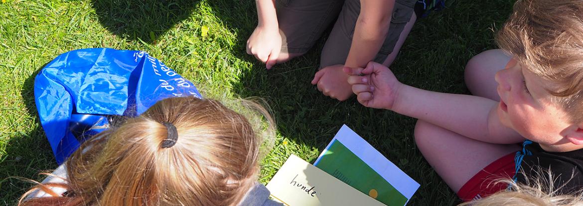 Fire undersøker en gressplen, sett ovenfra. Foto.