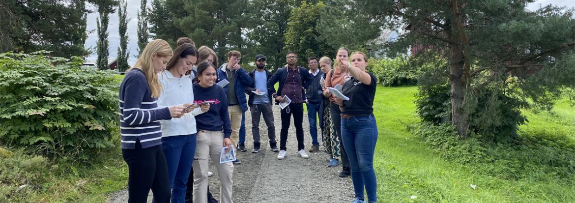 Gruppe av studenter ute på vei ved tre og gress