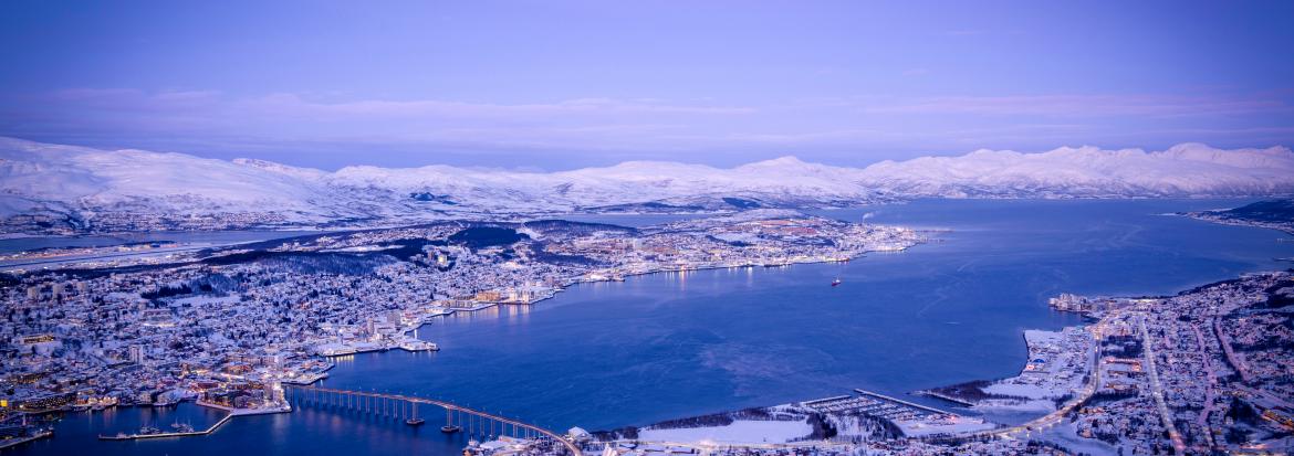 Photo by Himmel S on Unsplash