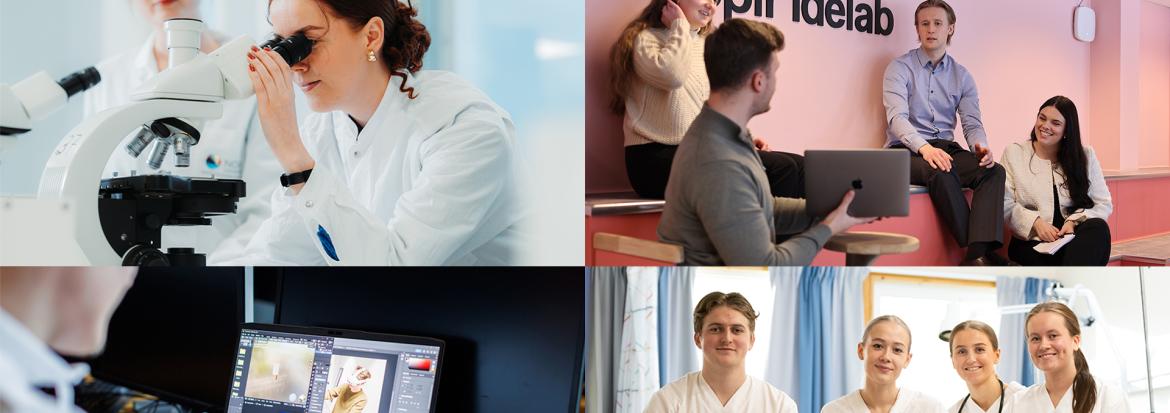 Nord universitet - en innovasjonsarena på tvers av regioner