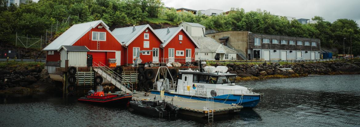 Mørkvedbukta forskningsstasjon: Tre røde bygg nede ved brygga - samt akvahaller i bakgrunn. Ved brygga ligger Tanteyen 2 lagt ved kai. 