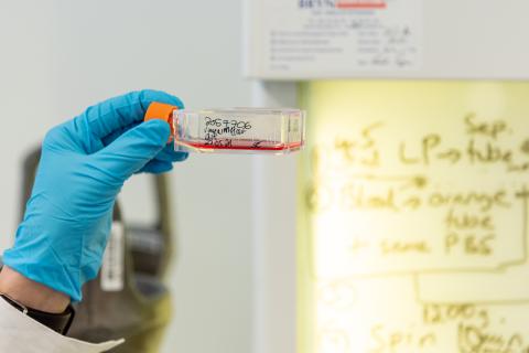 Hånd som holder reagensglass på laboratorium.