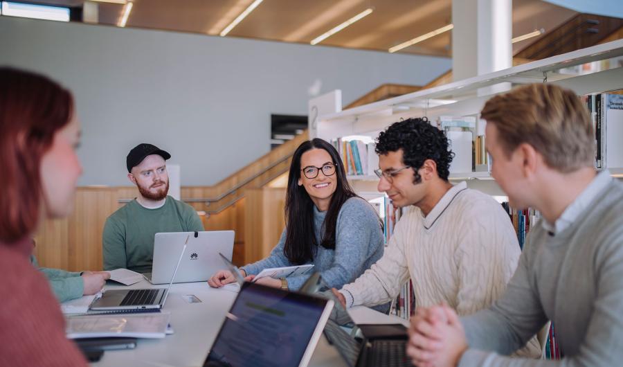 Studenter i gruppe på Stormen bibliotek