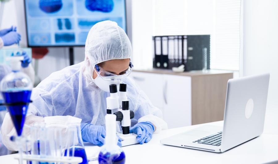 PhD research with microscope