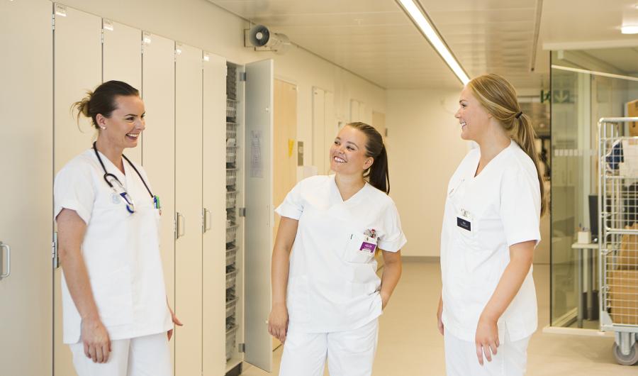 Sykepleie-4 årig regional