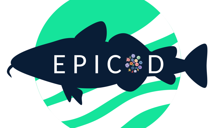 EPICOD logo