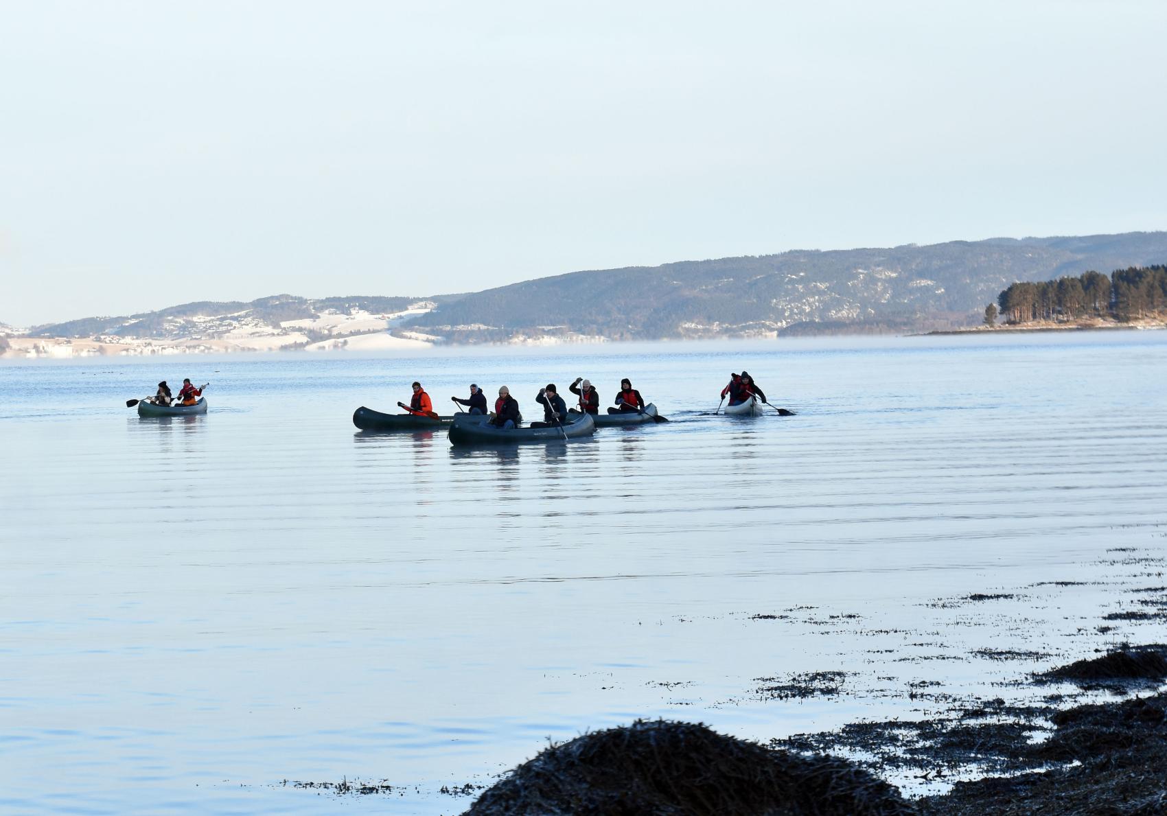 Studenter padler i kano på Trondheimsfjorden.