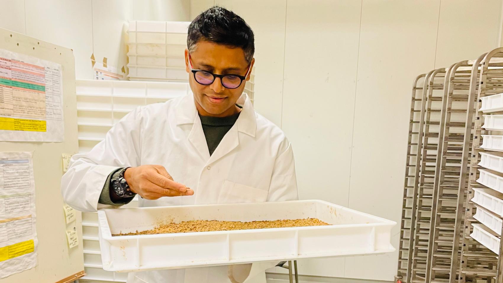 Voksen mann i hvit frakk som holder opp et stort kar fylt med melbiller. Foto