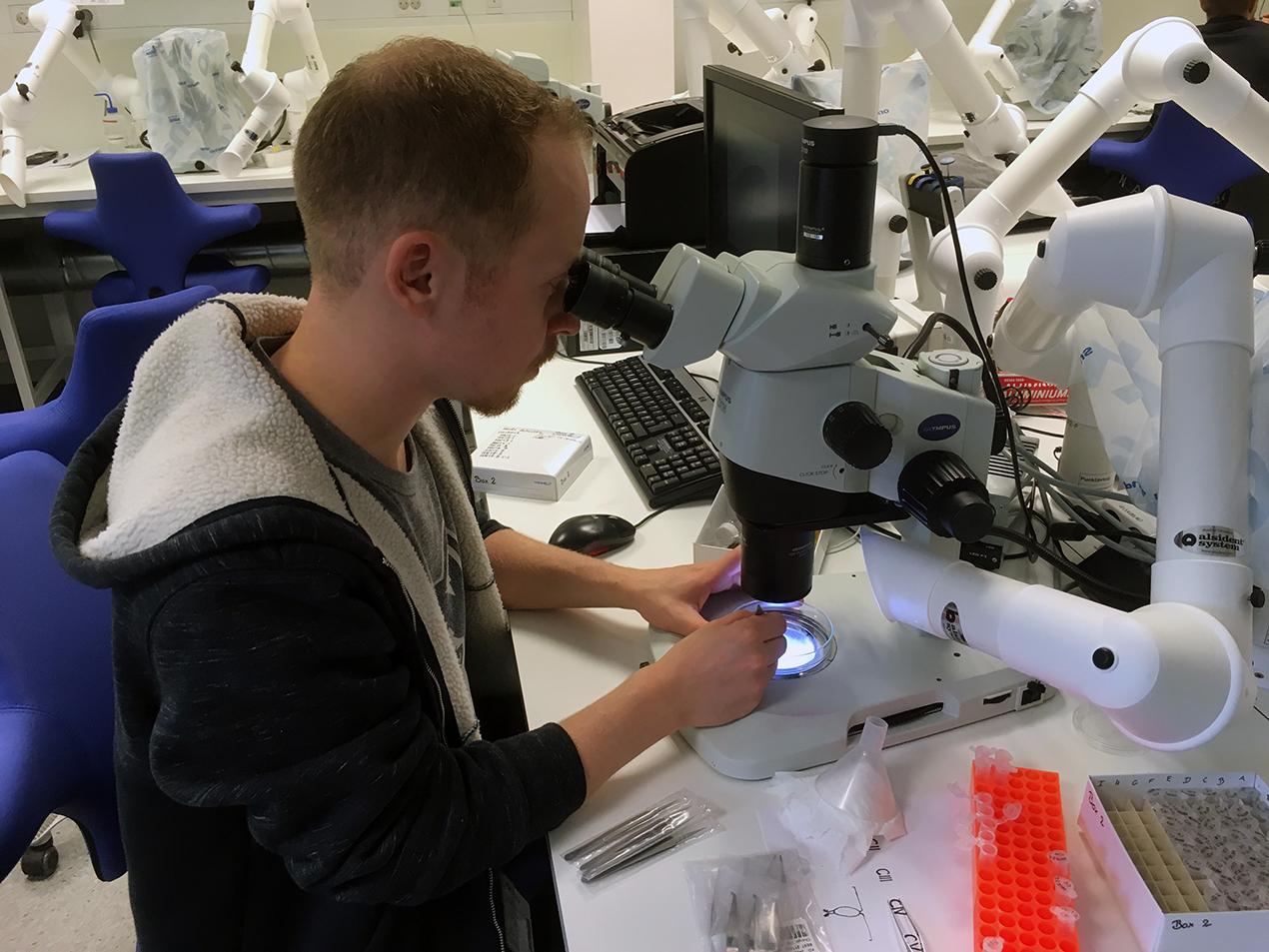 Forskar ved mikroskop. Foto