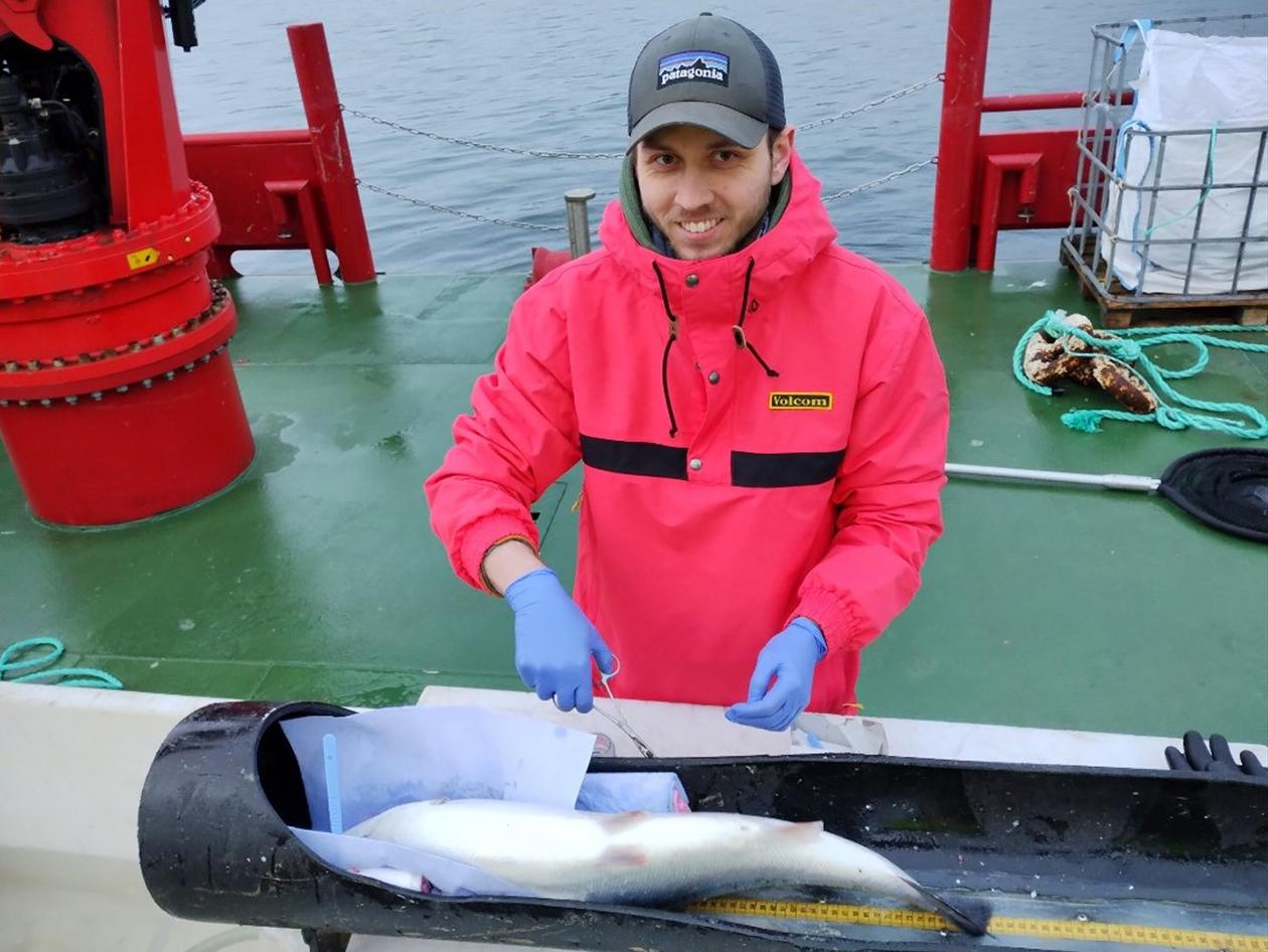 Mann på forskingsbåt foran laks som ligger med buken opp. Foto