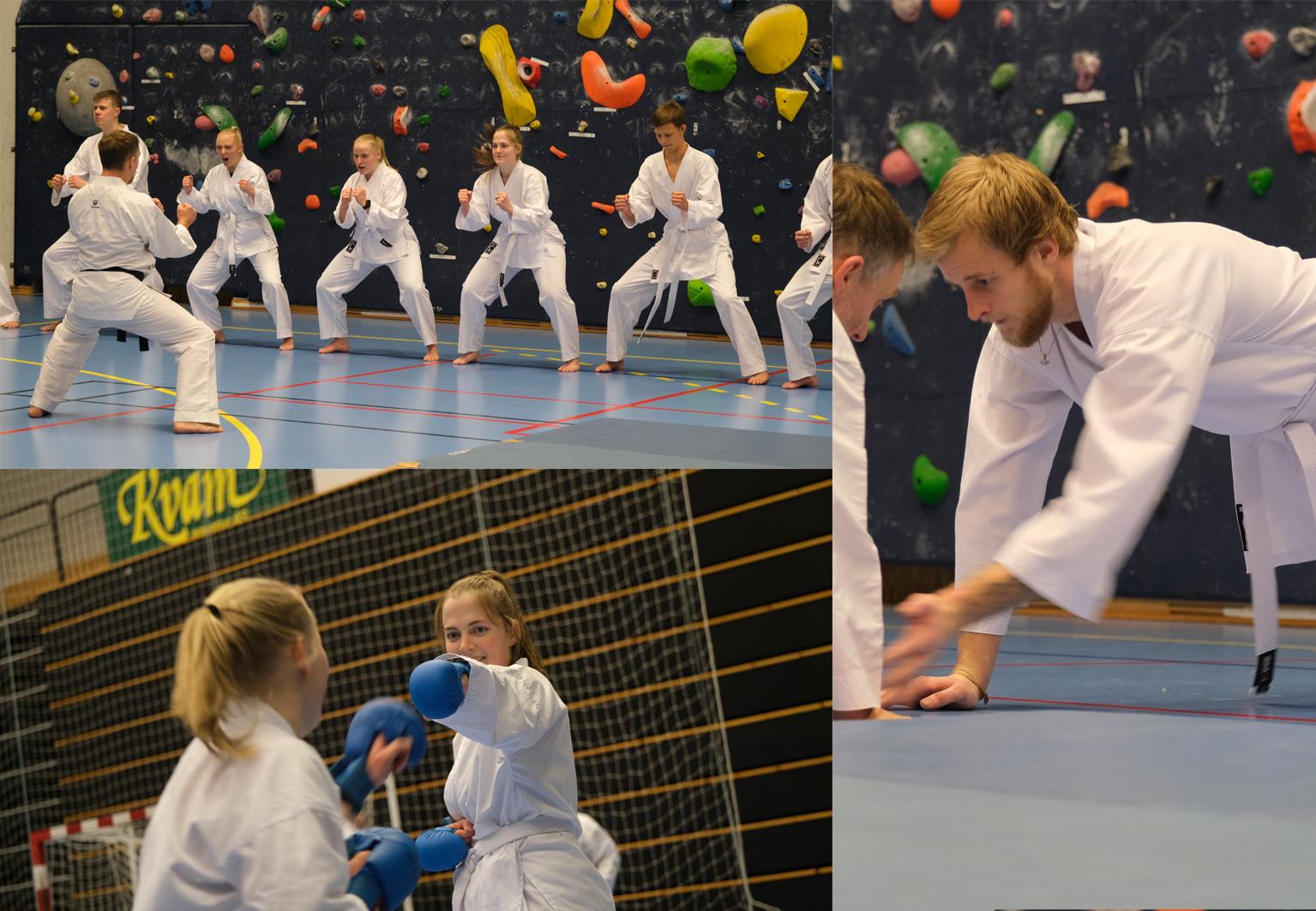 Bildemontasje av kvinner og menn som holder på med karate. Foto